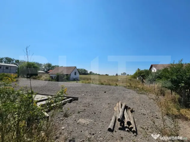 Teren intravilan 4.000 mp – Vințu de Jos, spre Pianu