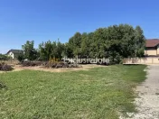 Teren 1.487 mp, doua deschideri la drum, Stefanestii Noi ...