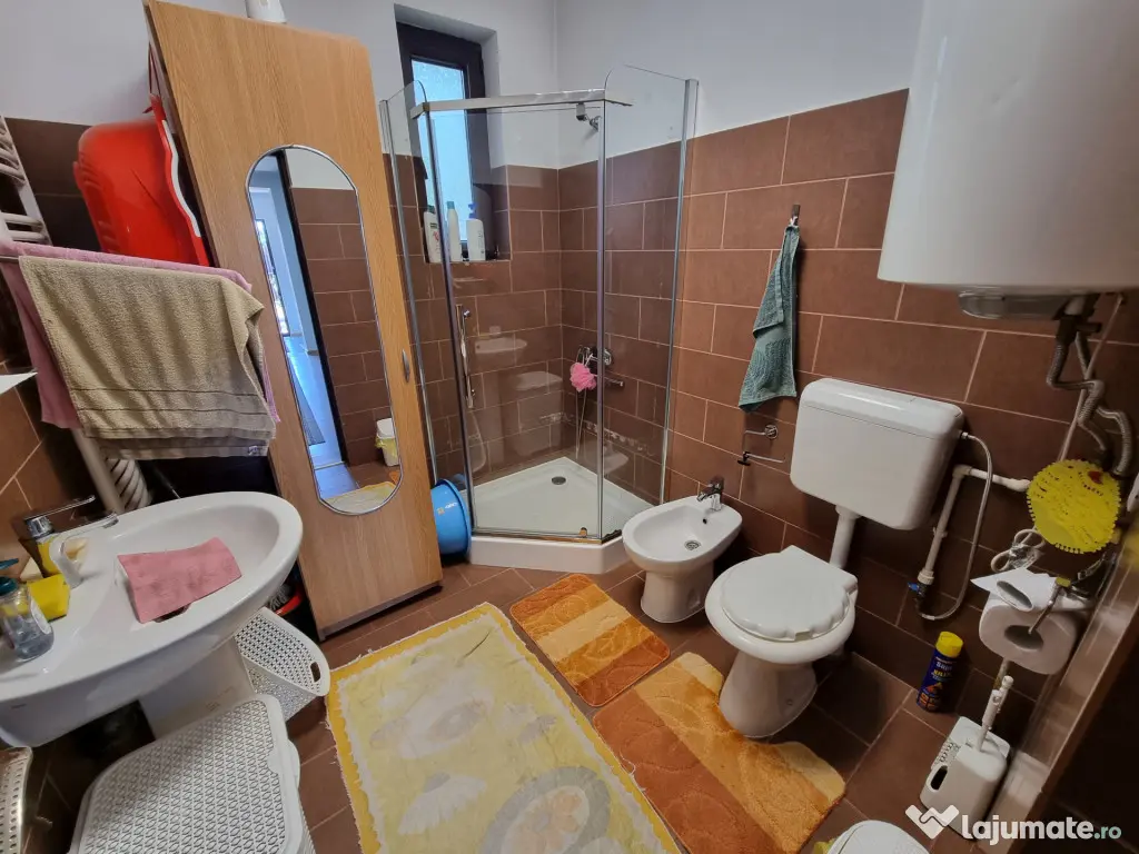 Casa cu trandafiri din Letea Veche, construcție 2013