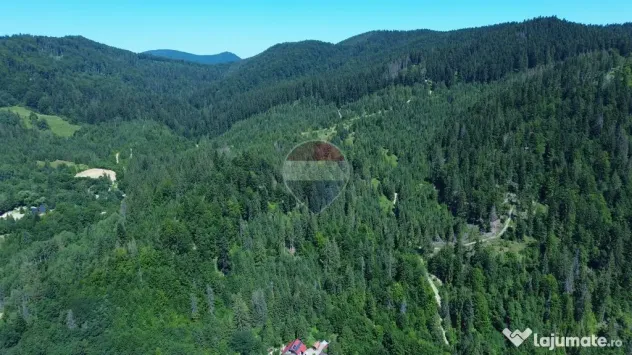 Teren 120.000 mp Sucevița – oportunitate de investiți...