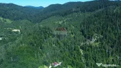 Teren 120.000 mp Sucevița – oportunitate de investiți... 