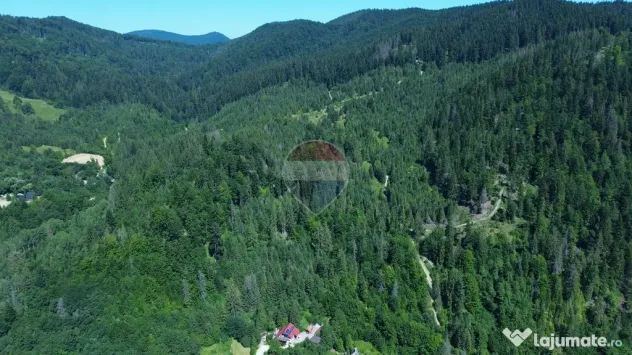 Teren 120.000 mp Sucevița – oportunitate de investiți...