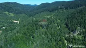 Teren 120.000 mp Sucevița – oportunitate de investiți... 