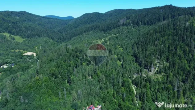 Teren 120.000 mp Sucevița – oportunitate de investiți...