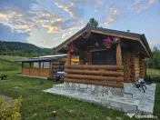 Cabana de Vis Valcanesti Prahova ! 