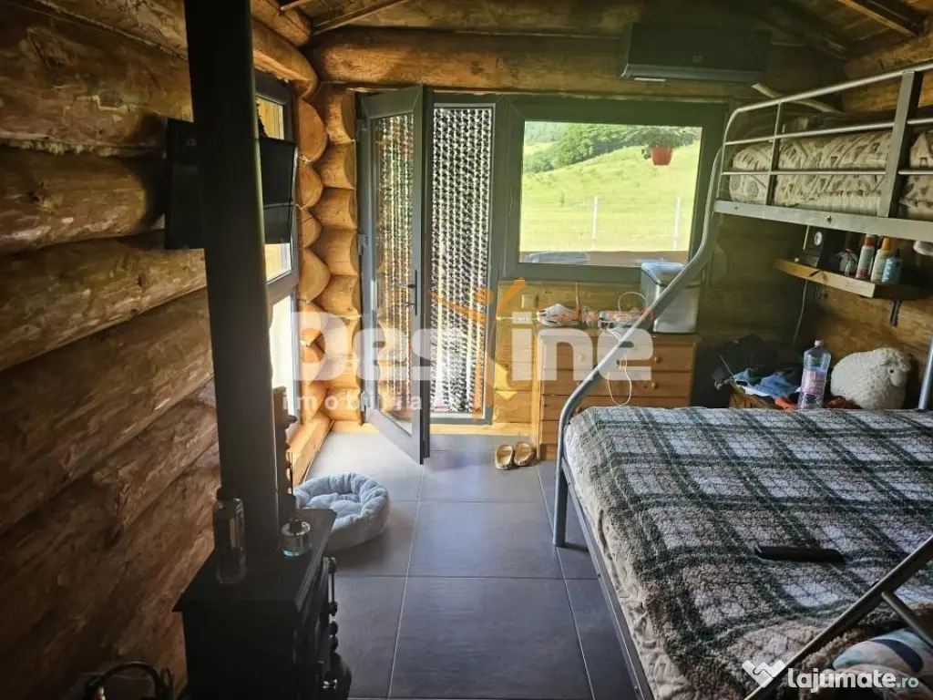 Cabana de Vis Valcanesti Prahova ! - Trestioara (Prahova)