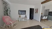 Elegant,decomandat,mobilat,utilat,apreciabila cromatica,Sanp