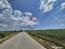 Teren intravilan de vânzare 4.087 mp Clinceni Olteni Ilfov