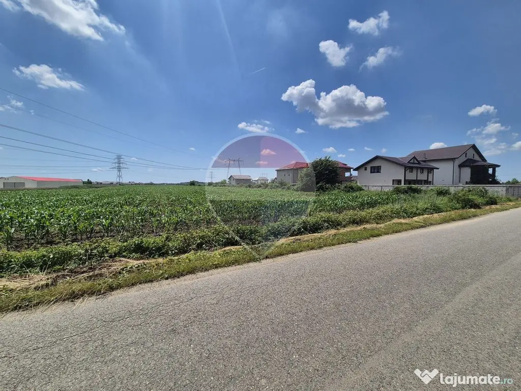 Teren intravilan de vânzare 4.087 mp Clinceni Olteni Ilfov