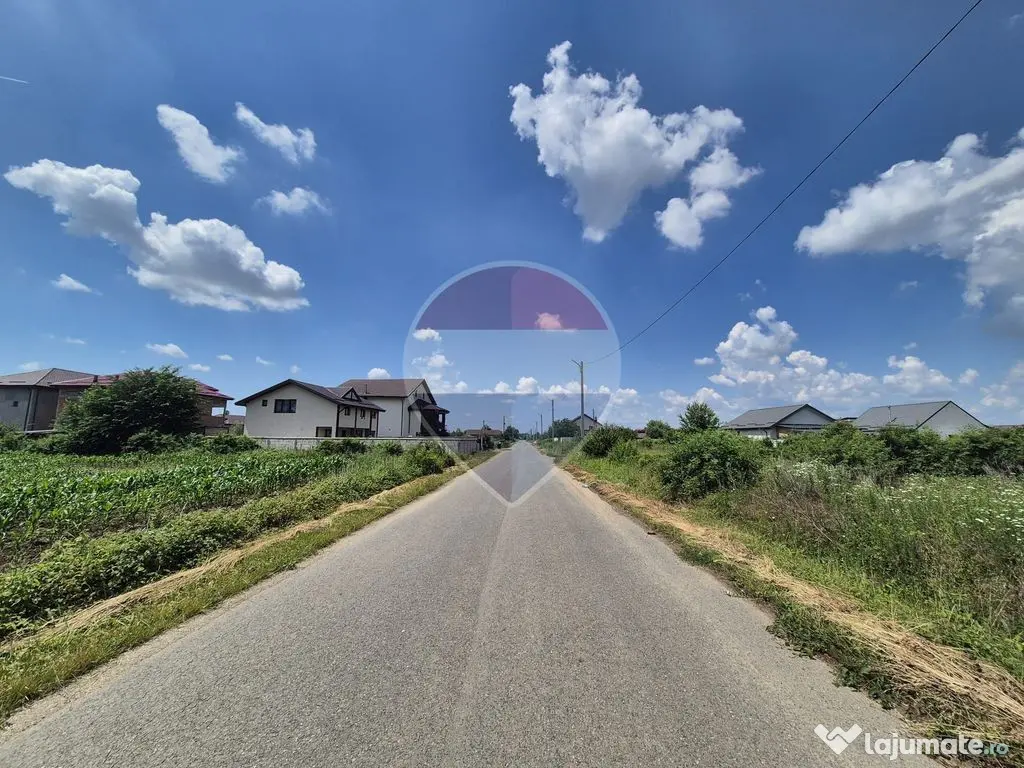 Teren intravilan de vânzare 4.087 mp Clinceni Olteni Ilfov