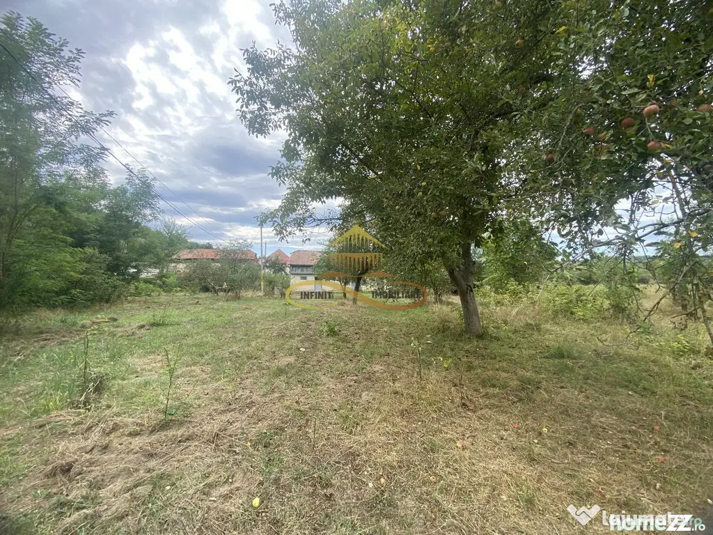 Casa batraneasca + teren de 1285 mp , Parvulesti, Bacau - Parvulesti (Bacau)