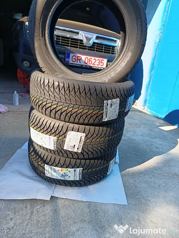 CauciucuriM+S