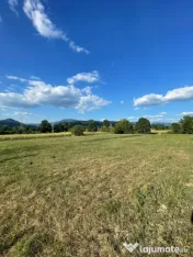 Teren 47,85 ari – Strada Vrancei | Potențial pentru dezvo 