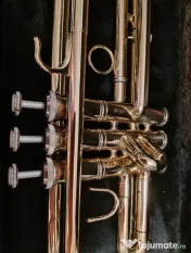 Trompeta Maxtone 1970 Bb – Gold Lacquer –  Nouă + Hard Case 