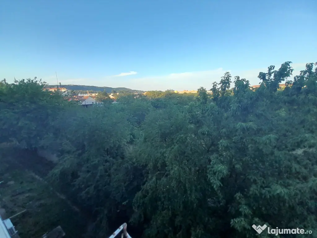 Garsonieră etaj 3 de vânzare Oradea