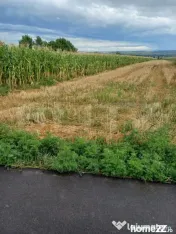 Teren de vanzare intravilan, 6 parcele, Salcea 
