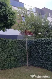 Închiriere Vilă cu 5 camere Iancu Nicolae -Pipara