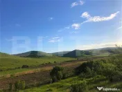 Teren 1.000 mp ,Sat Pata, zonă în dezvoltare si cu acces u 