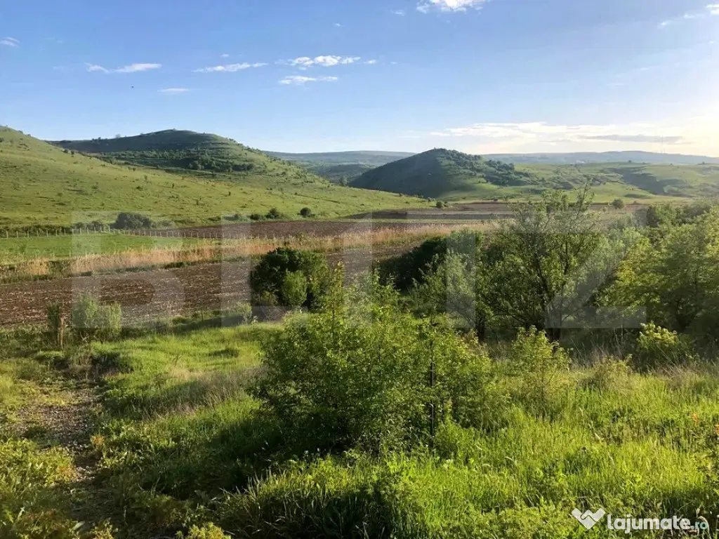 Teren 1.000 mp ,Sat Pata, zonă în dezvoltare si cu acces u