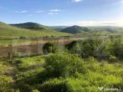 Teren 1.000 mp ,Sat Pata, zonă în dezvoltare si cu acces u 