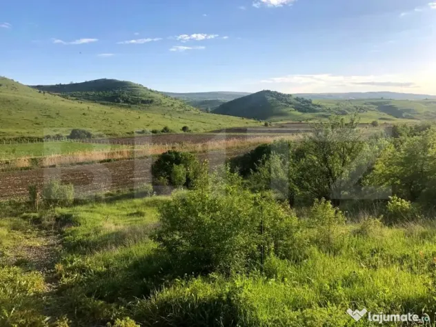 Teren 1.000 mp ,Sat Pata, zonă în dezvoltare si cu acces u