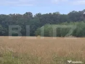 Padure de vanzare 0,75 hectare 