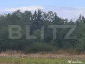 Padure de vanzare 0,75 hectare 