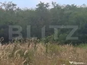 Padure de vanzare 0,75 hectare 