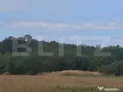 Padure de vanzare 0,75 hectare 