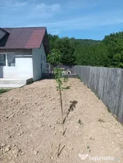 Casă PIETRĂRIE | 2 camere, 70 mp, 400 mp teren, loc de ...