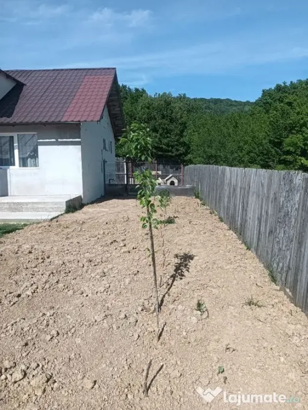 Casă PIETRĂRIE | 2 camere, 70 mp, 400 mp teren, loc de ...