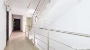Chiajna | Strada Tineretului | Dudu | Roșu | Auchan Mili... 