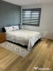 Casă Spațioasă + Spații Comerciale | Hănțești, Jud. S 