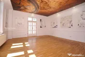 Clădire 12+ Camere | 355 MP + Terasă | Ultracentral – Un 