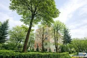 Apartament 2 camere, cartierul Florilor, renovabil, spatiu v 