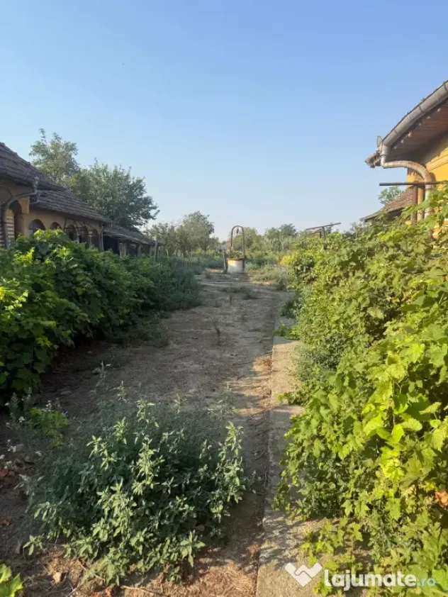 Teren intravilan 2.400 mp în Băilești 24 m deschidere la strada
