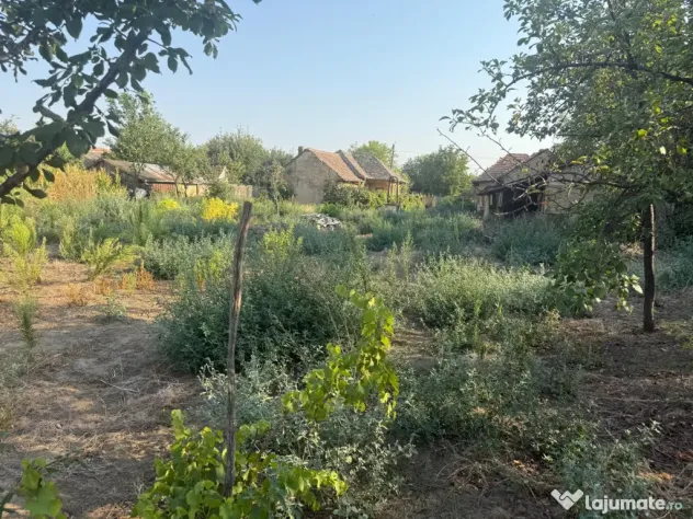 Teren intravilan 2.400 mp în Băilești 24 m deschidere la strada