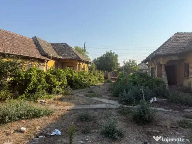Teren intravilan 2.400 mp în Băilești 24 m deschidere la strada