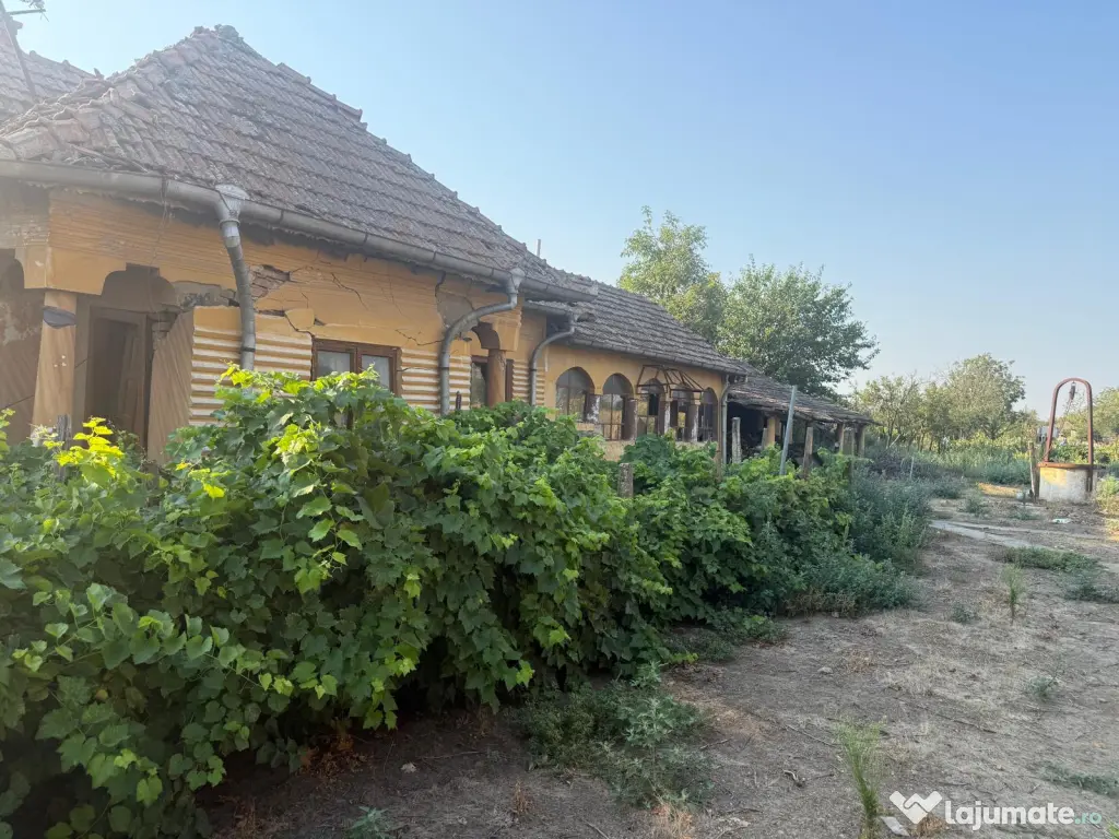 Teren intravilan 2.400 mp în Băilești 24 m deschidere la strada