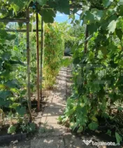 Casă cu 2 corpuri – Ideală pentru locuit sau investiție 