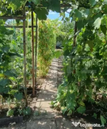 Casă cu 2 corpuri – Ideală pentru locuit sau investiție