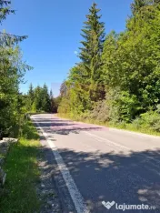 Teren de vânzare în zona Cota 1000 – Sinaia 