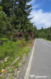 Teren de vânzare în zona Cota 1000 – Sinaia 