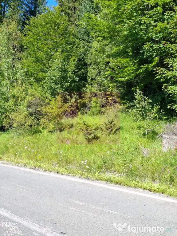 Teren de vânzare în zona Cota 1000 – Sinaia
