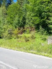 Teren de vânzare în zona Cota 1000 – Sinaia 