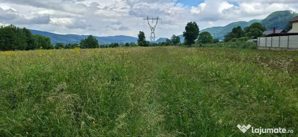 Vand teren intravilan Vadurele 2650 mp - Vadurele (Alexandru cel Bun) (Neamt)