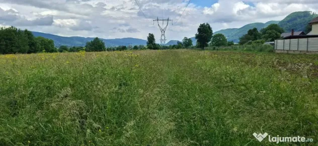 Vand teren intravilan Vadurele 2650 mp - Vadurele (Alexandru cel Bun) (Neamt)