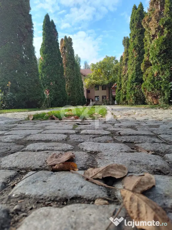 Vilă exclusivistă de 450 mp utili, teren generos de 2.000 - Breazu (Iasi)