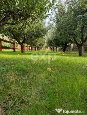 Vilă exclusivistă de 450 mp utili, teren generos de 2.000 