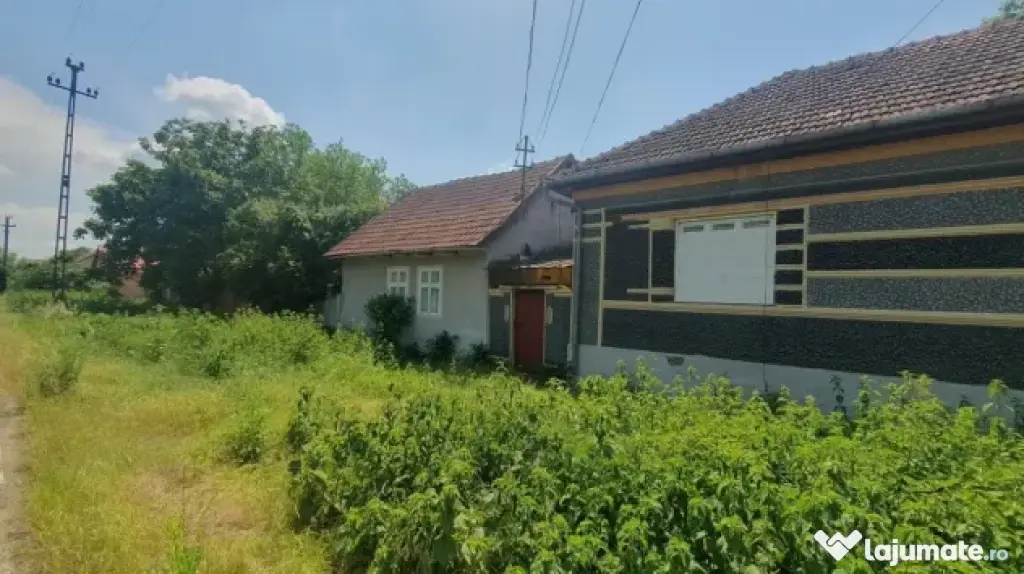 Vand casa Macea